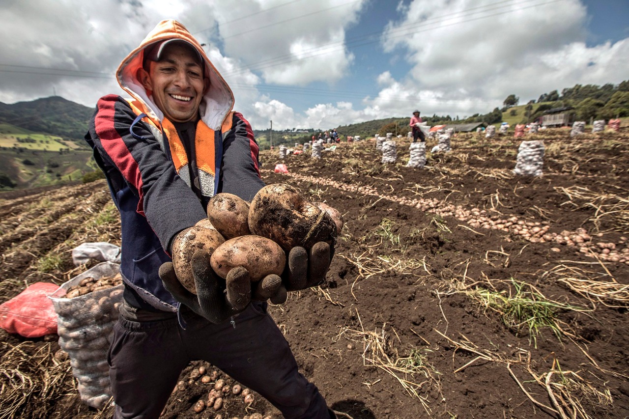 Para campaña agrícola 2026/2027 en Ica y todo el Perú: MIDAGRI inicia hoy Encuesta Nacional de Intenciones de Siembra