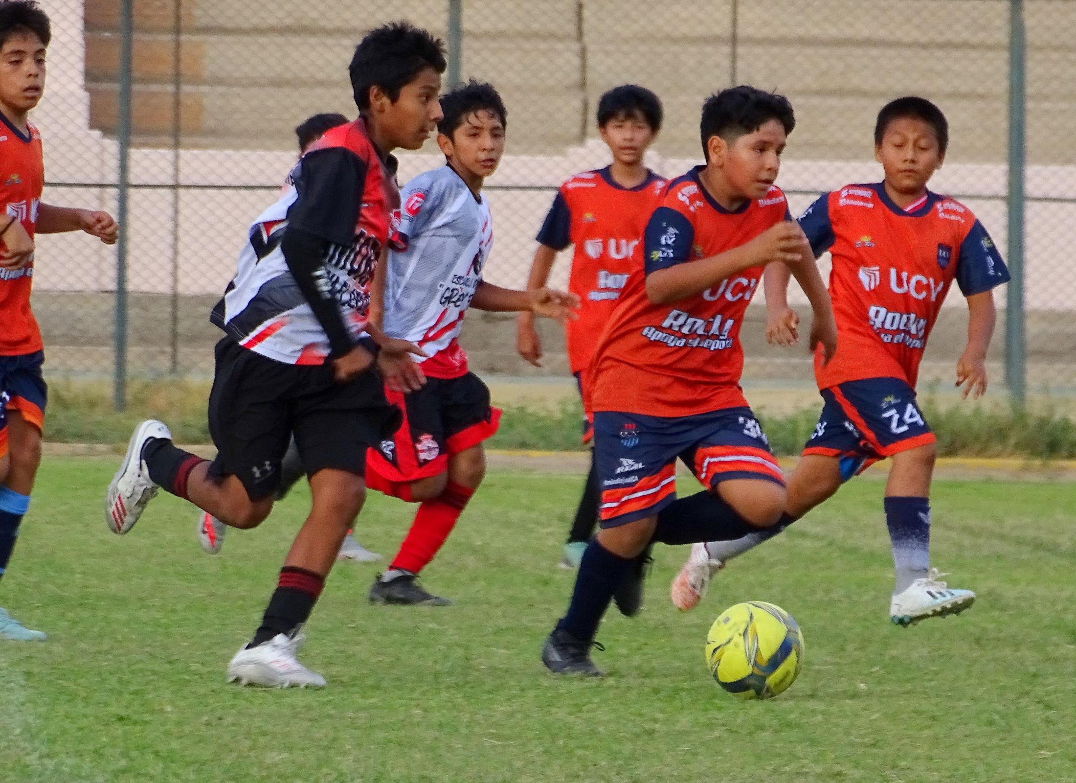 Torneo Élite Regional Ica 2026