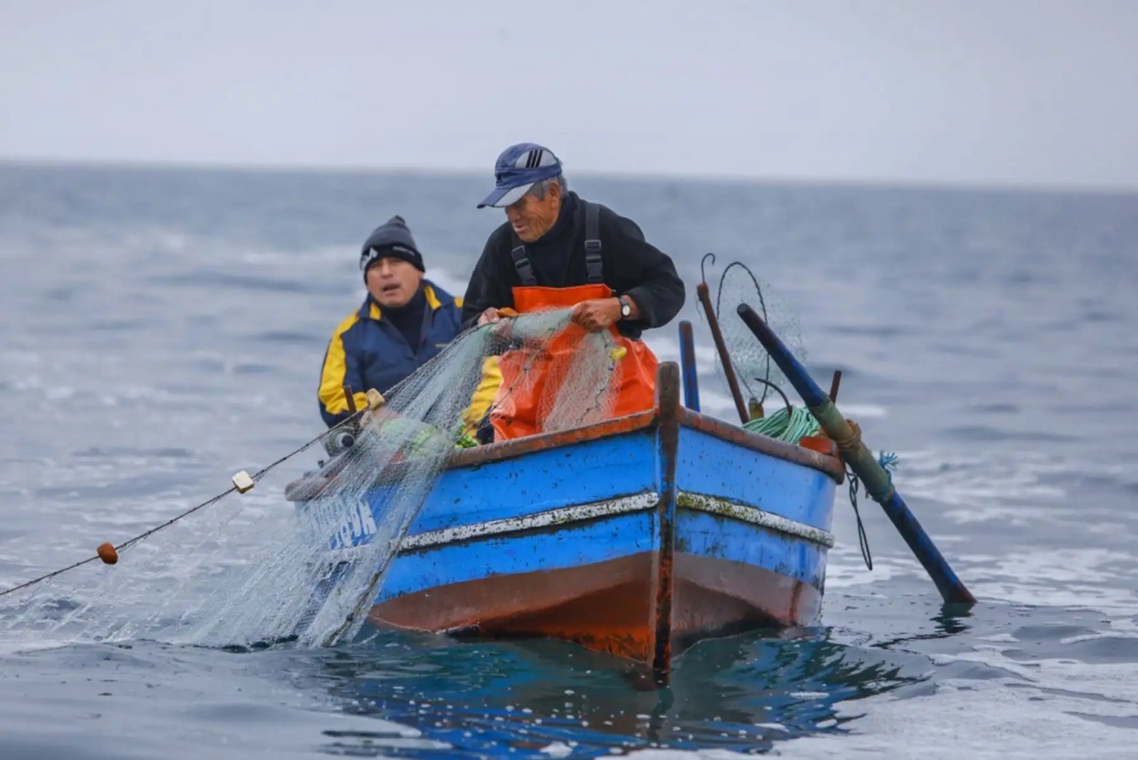 Para pescadores artesanales: Diputado José Yataco promovió resolución que amplía el límite de captura de bonito