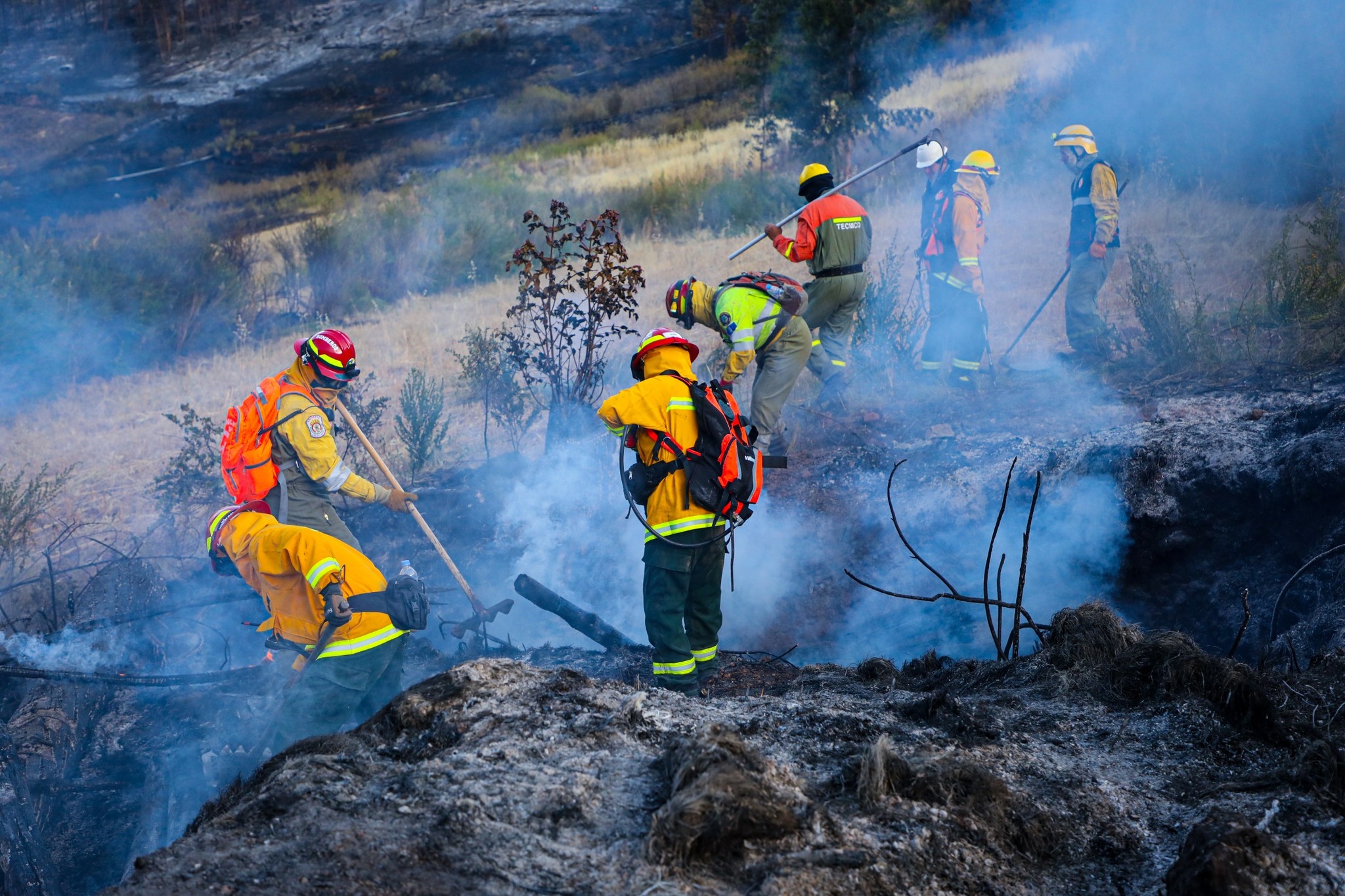 En lo que va del año Cusco viene registrando 280 incendios forestales cuya principal causa sería por la quema de cultivo